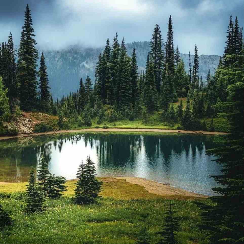 دانلود آهنگ سیتیزن دل پاکتم من تو نعره ام بکشی